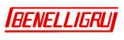 www.benelligru.it/